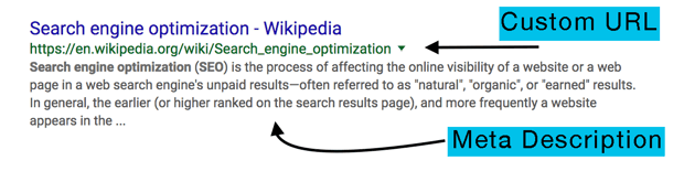 SEO-meta-custom-url