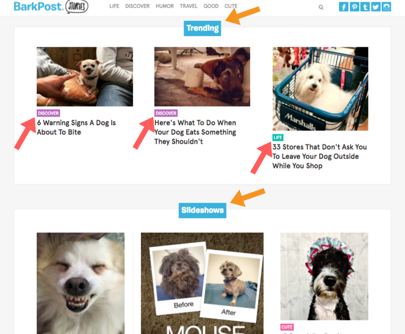 Blog-button-color-grouping-BarkPost-example