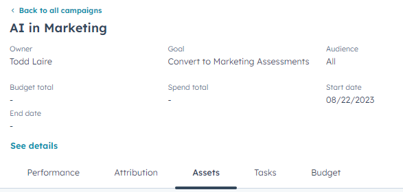 Hubspot Screenshot showing file details