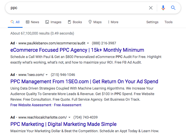 Paid Search Results Examples