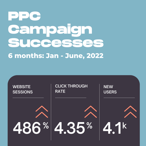 Watershed Case Study – PPC Campaign Stats 2