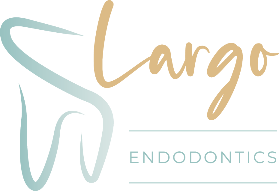 Largo Endo logo