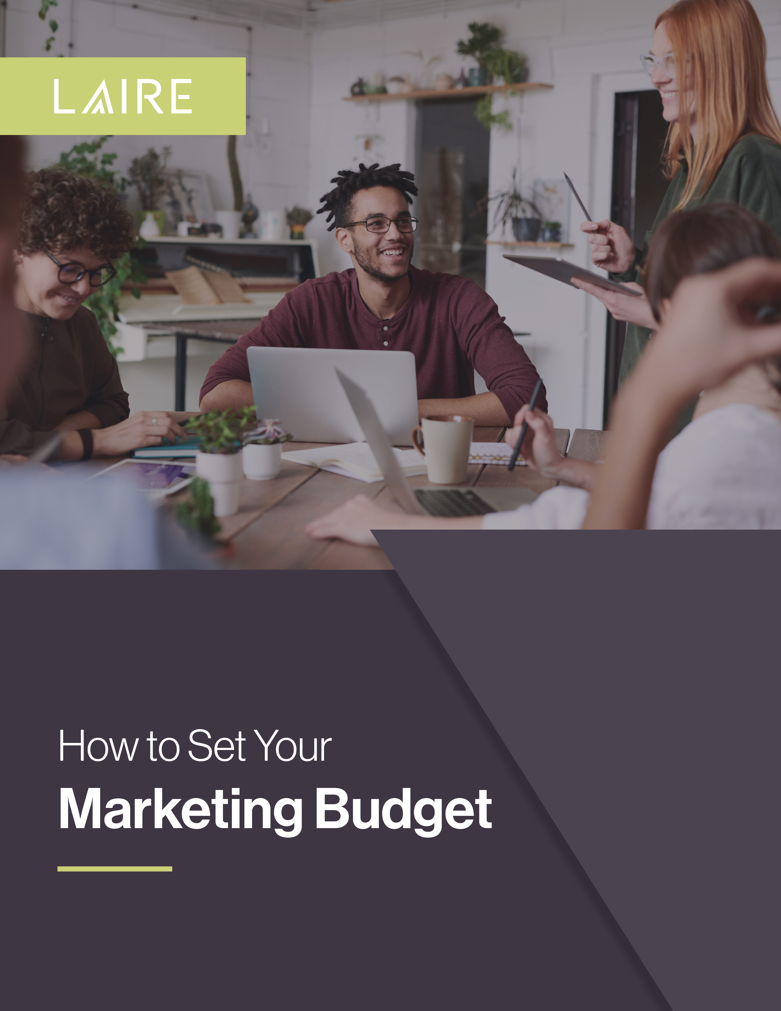 LAIRE_Marketing Budget Cover